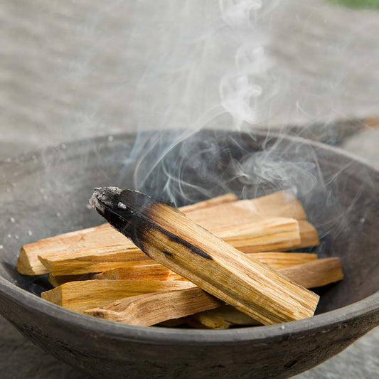 Green Tree Palo Santo Sticks 3-4 sticks