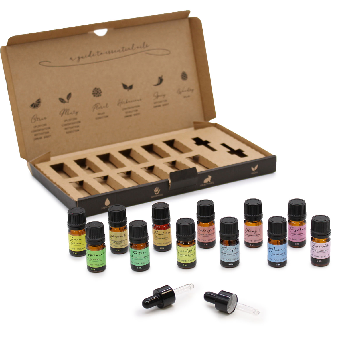 Aromatherapy Essential Oil Set - Starter Pack